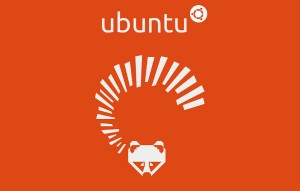 ubuntu_1304