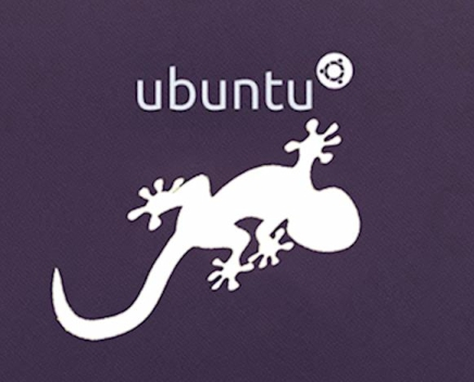 Ubuntu 13.10 Saucy Salamander
